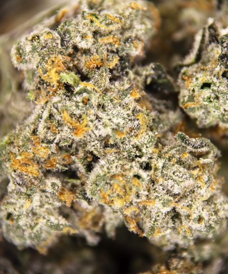 Alternative view of Tangerine Dream (smalls) AAA