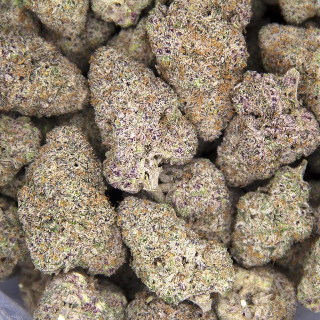 Rocket Chronic