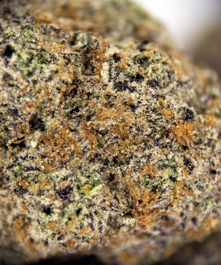 Alternative view of Tropical Zkittles AAA