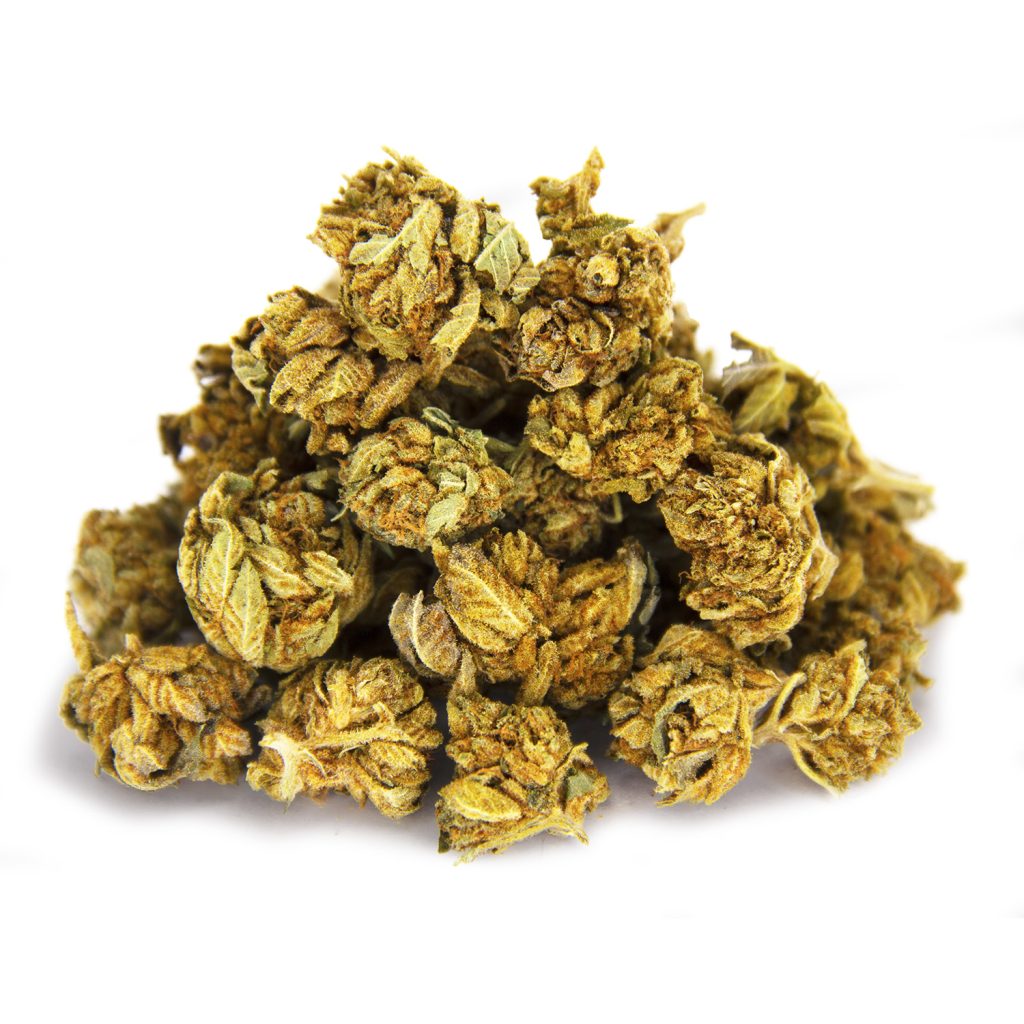 Rocket Chronic