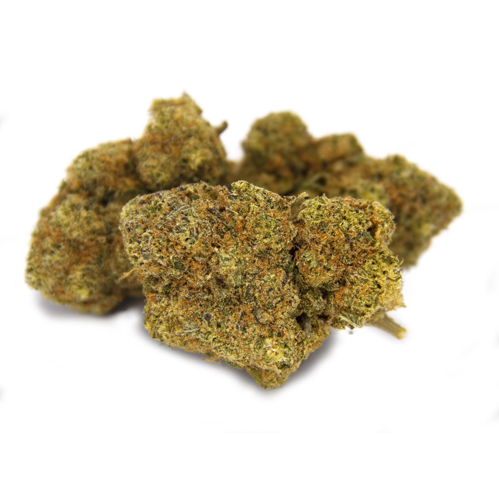 Rocket Chronic