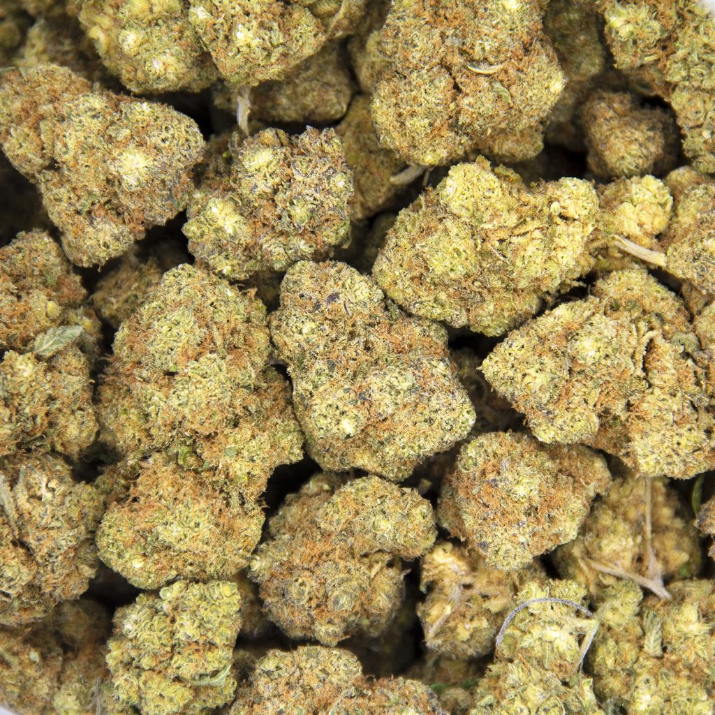 Rocket Chronic