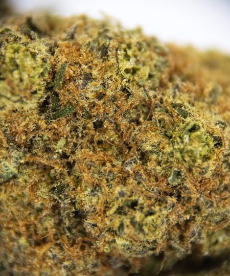 Alternative view of Vortex AA+