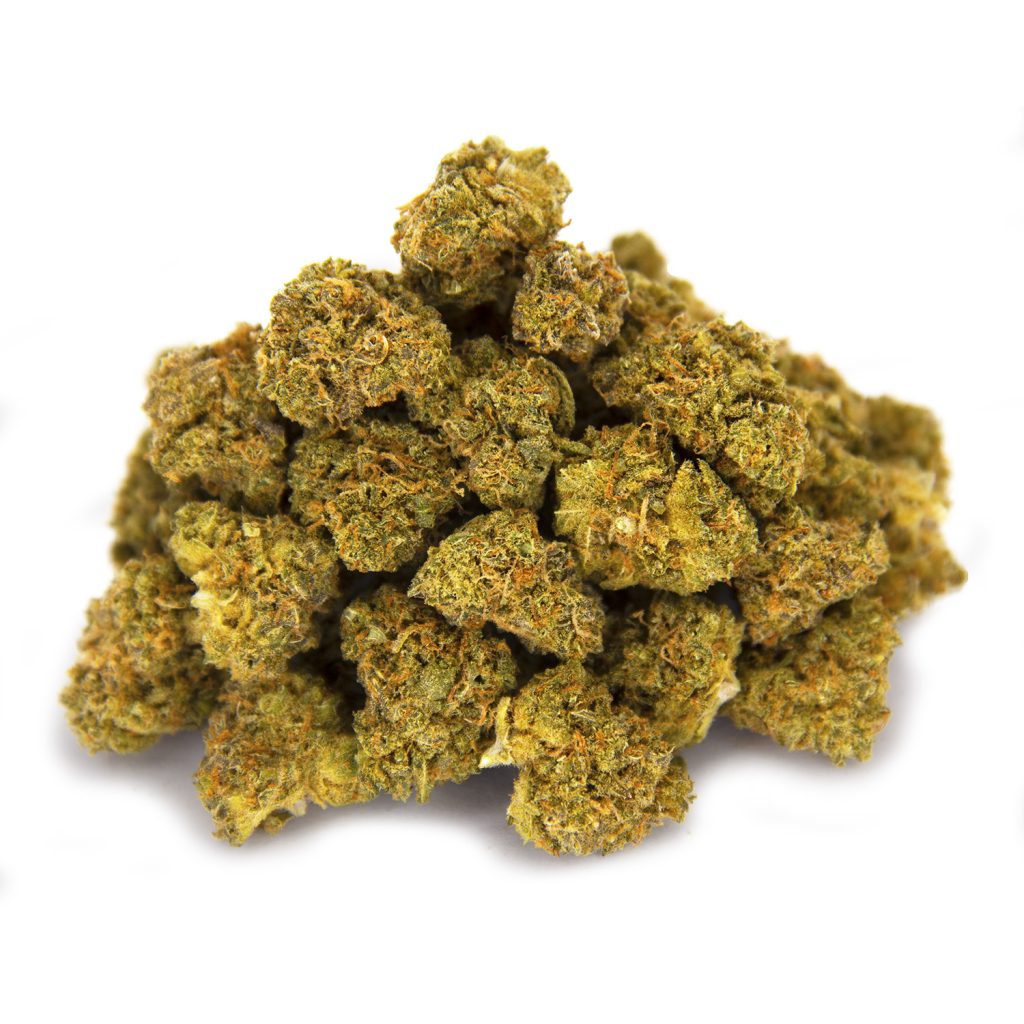 Rocket Chronic