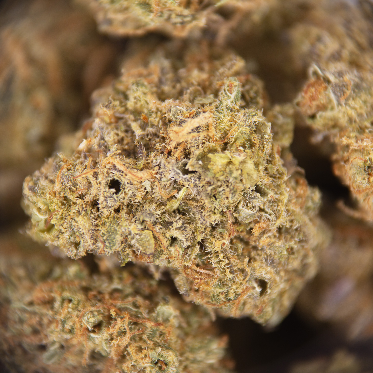 White Berry (smalls) AA - Image 2