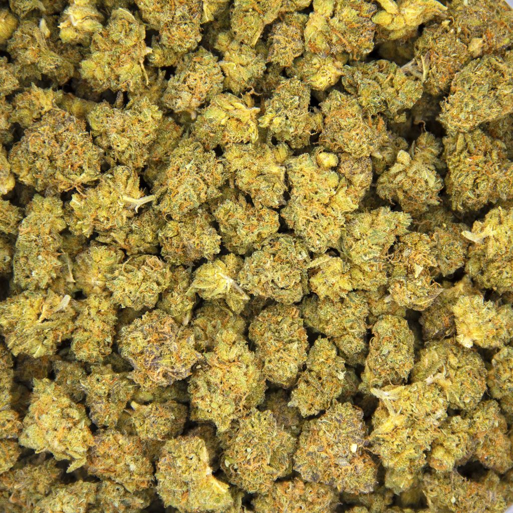 Rocket Chronic
