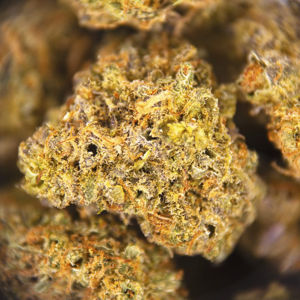 Rocket Chronic