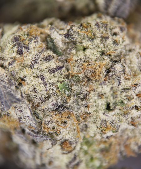 Alternative view of Zoap (mediums) AAA+