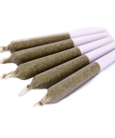420 FREE GIFT - Kief Blaster 1g Pre-Rolls (5-pack) AAA