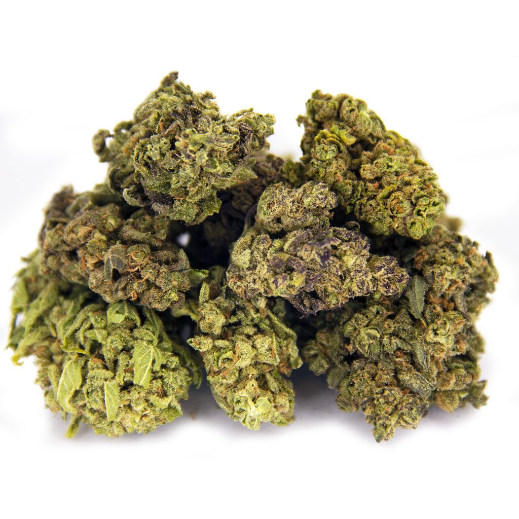 Rocket Chronic