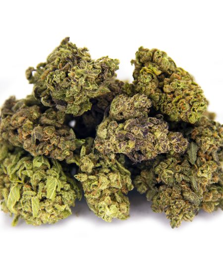 Acai Berry Gelato AA-