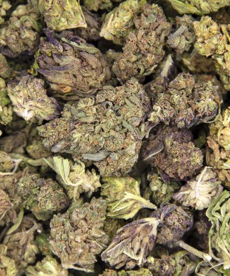 Alternative view of Acai Berry Gelato AA-