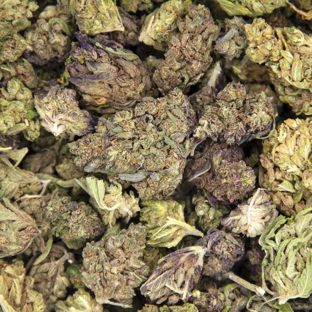Rocket Chronic