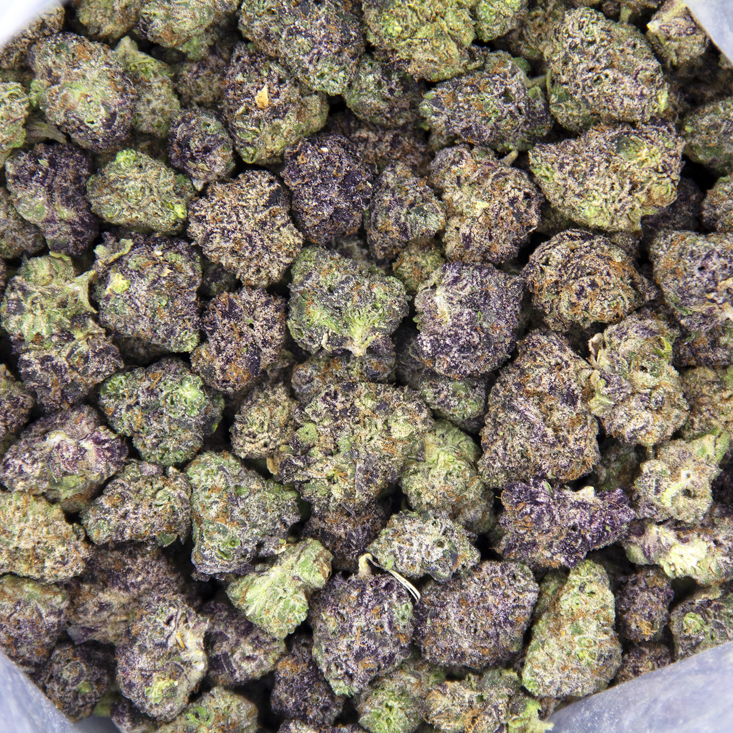 Blue Dream (smalls) AAAA - Image 2