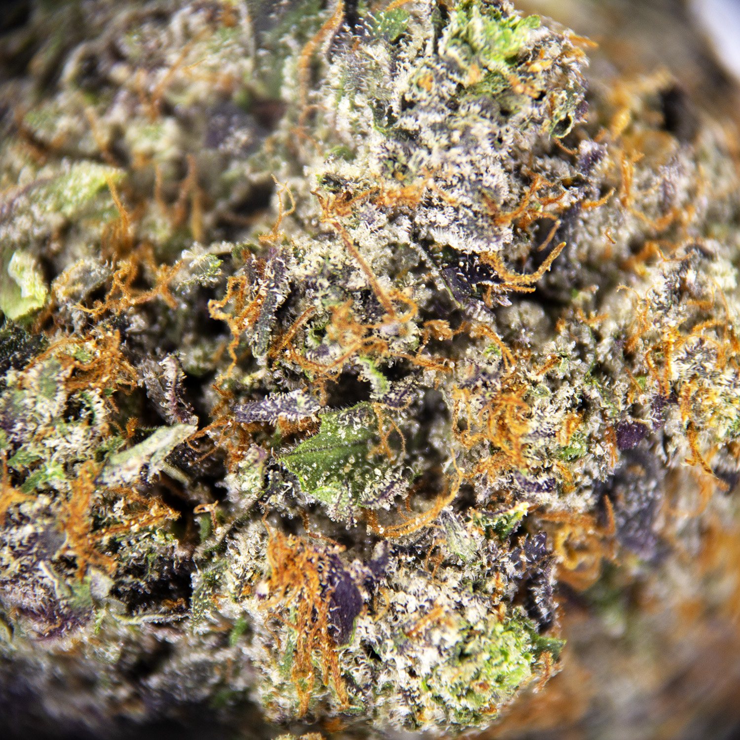 Death Pink AAAA+ - Image 3