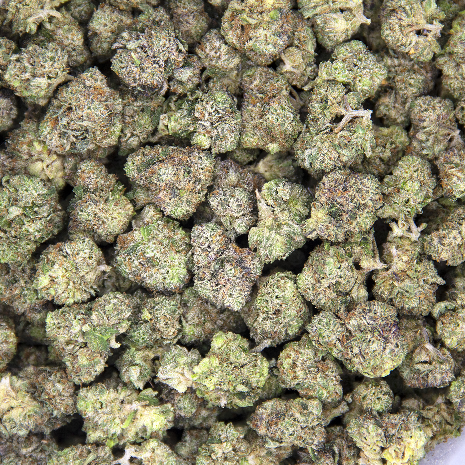 First Class Gas (smalls) AAAA - Image 3