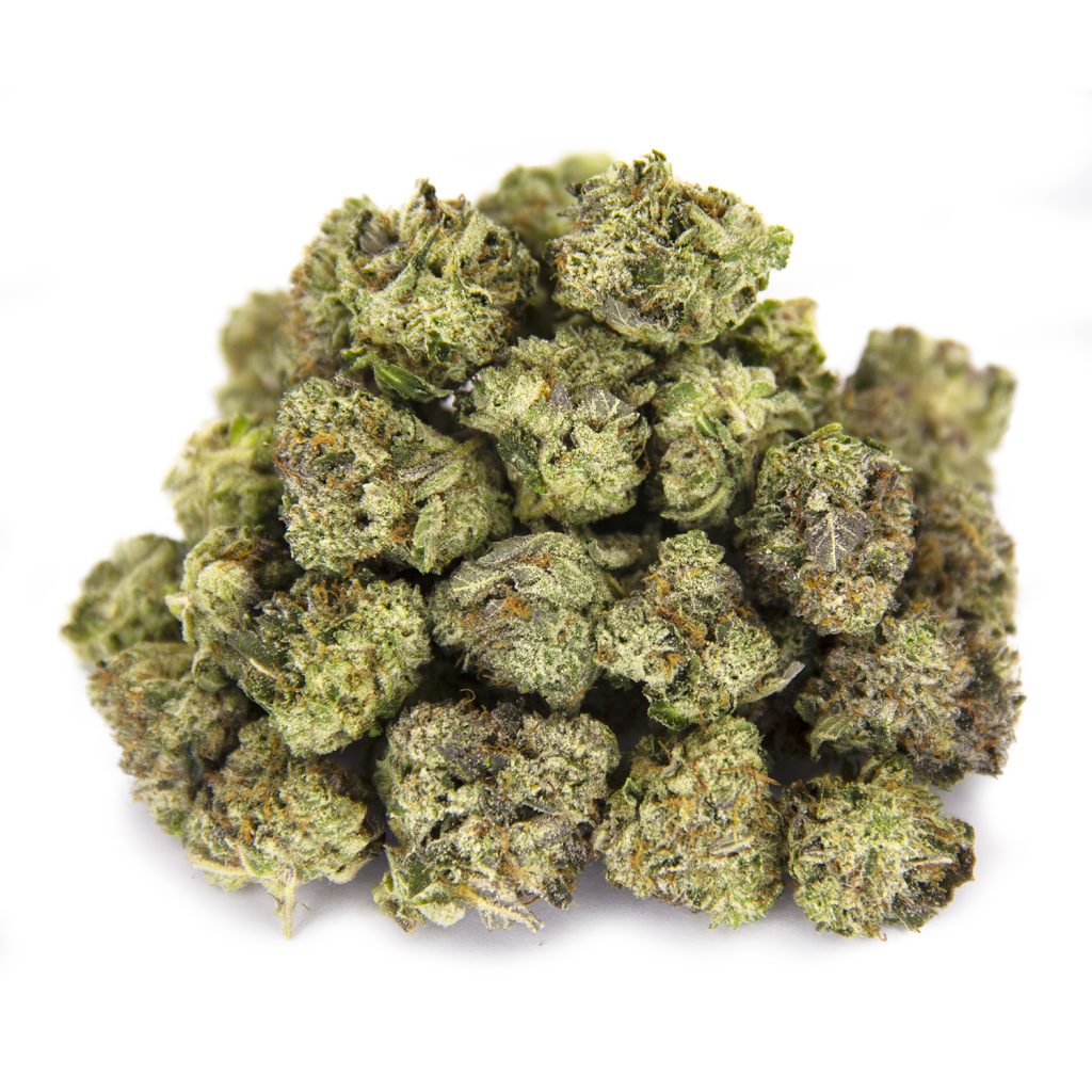 Rocket Chronic