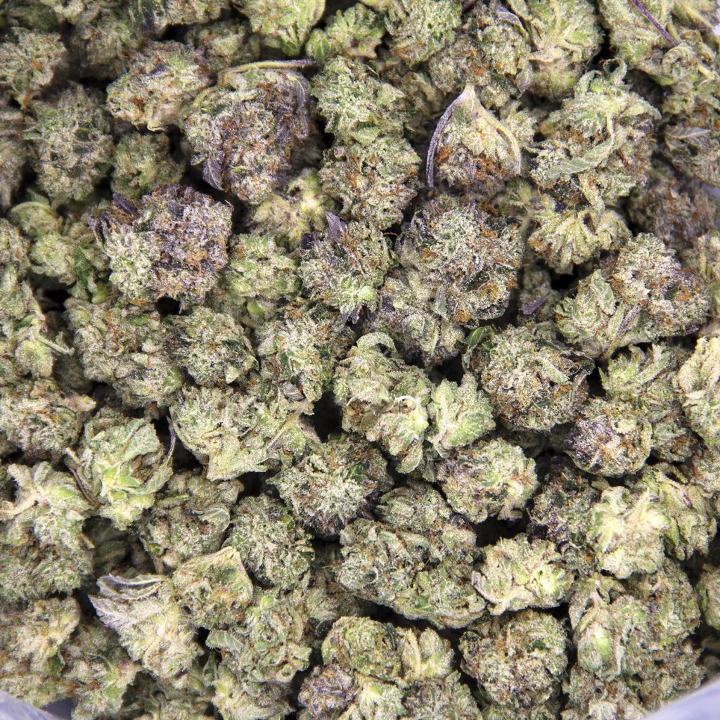 Rocket Chronic