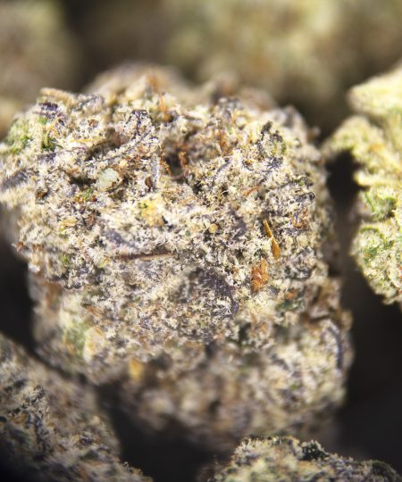 Alternative view of Panda Glue (smalls) AAAA