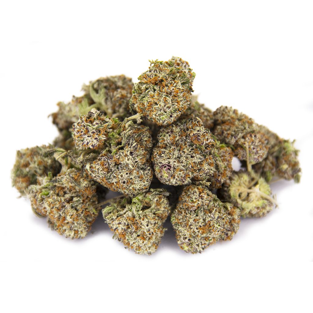 Rocket Chronic