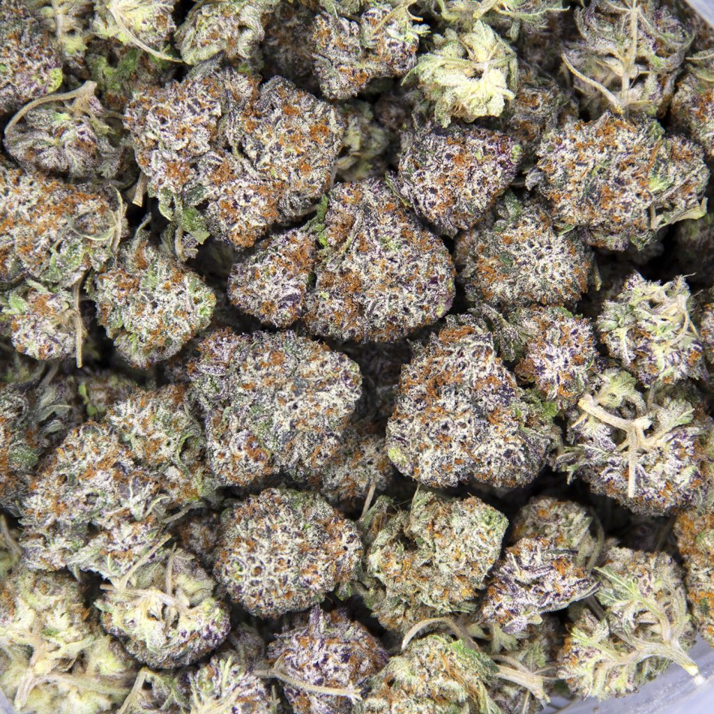 Rocket Chronic