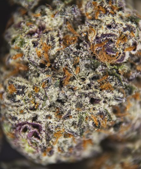 Alternative view of Pink Panther (mediums) AAA