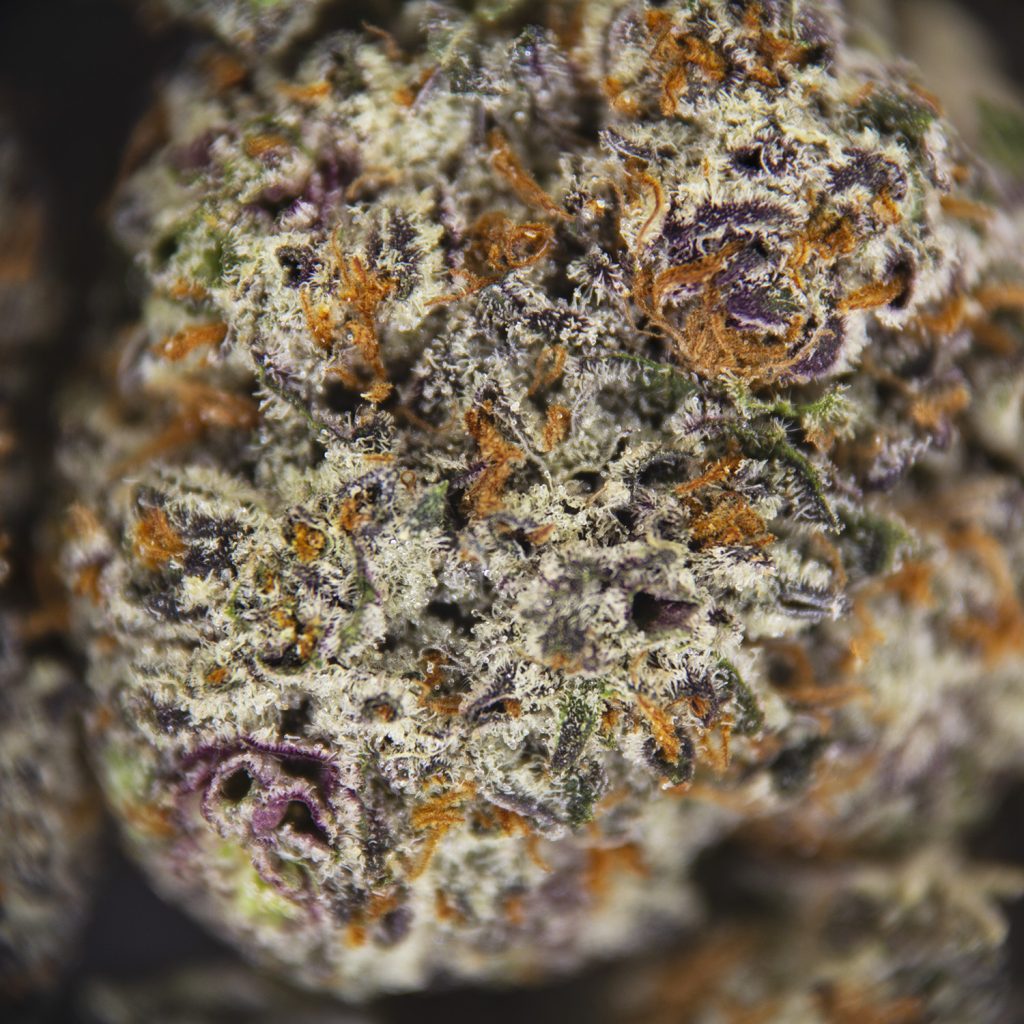 Rocket Chronic