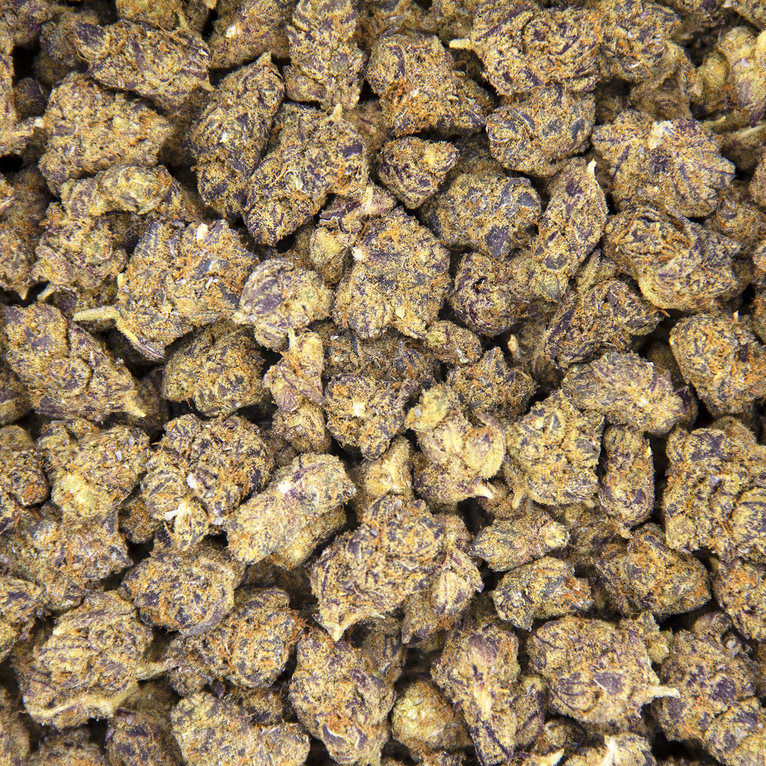Black Cherry (smalls) AA - Image 3