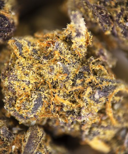 Alternative view of Black Cherry (smalls) AA