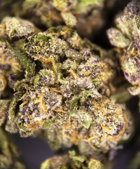 Alternative view of Blue Cheese (smalls) AAA-