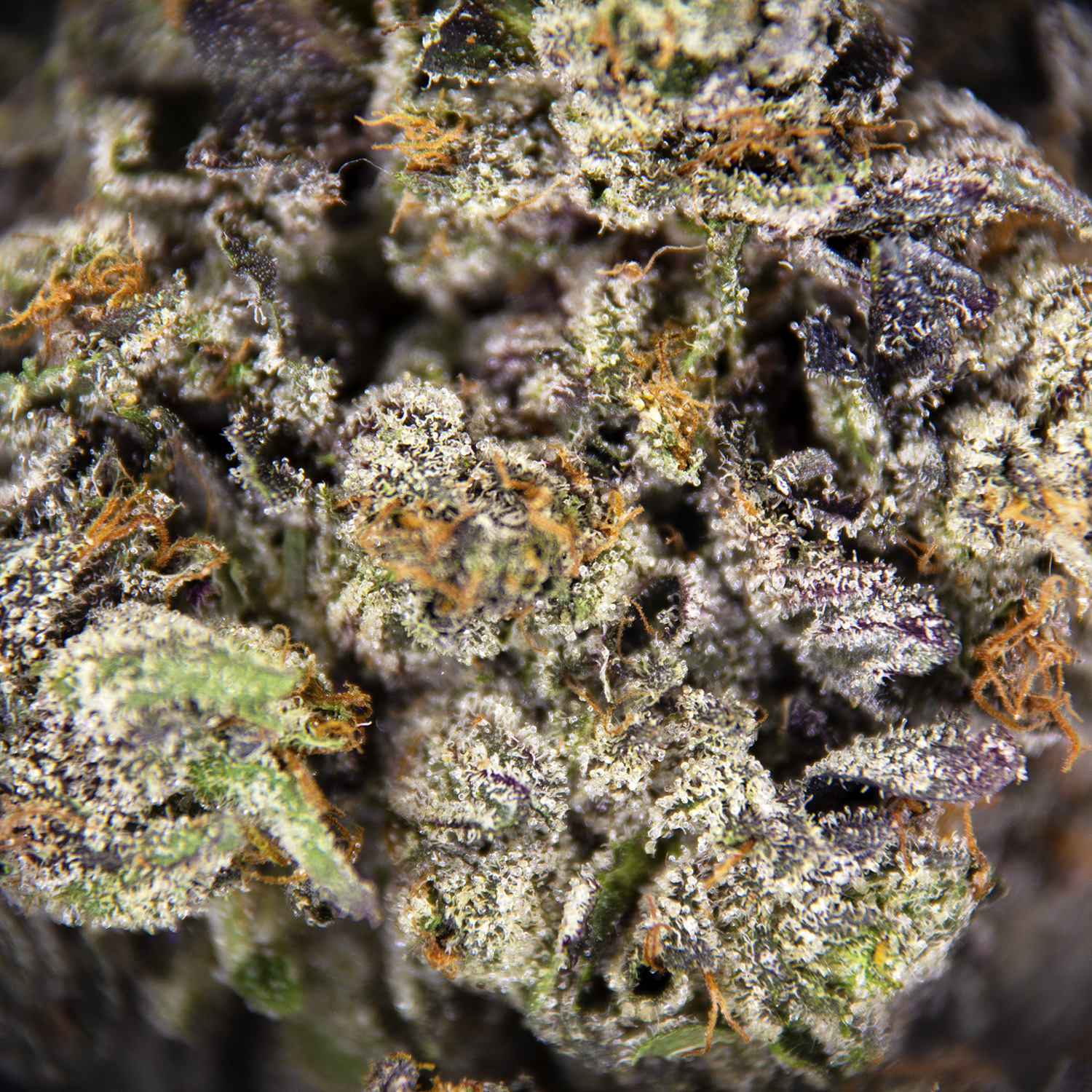 Diablo Death Bubba AAAA+ - Image 2