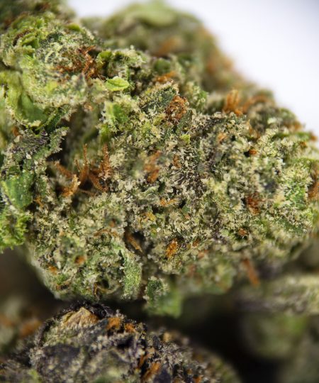 Alternative view of Grimace OG (smalls) AAA
