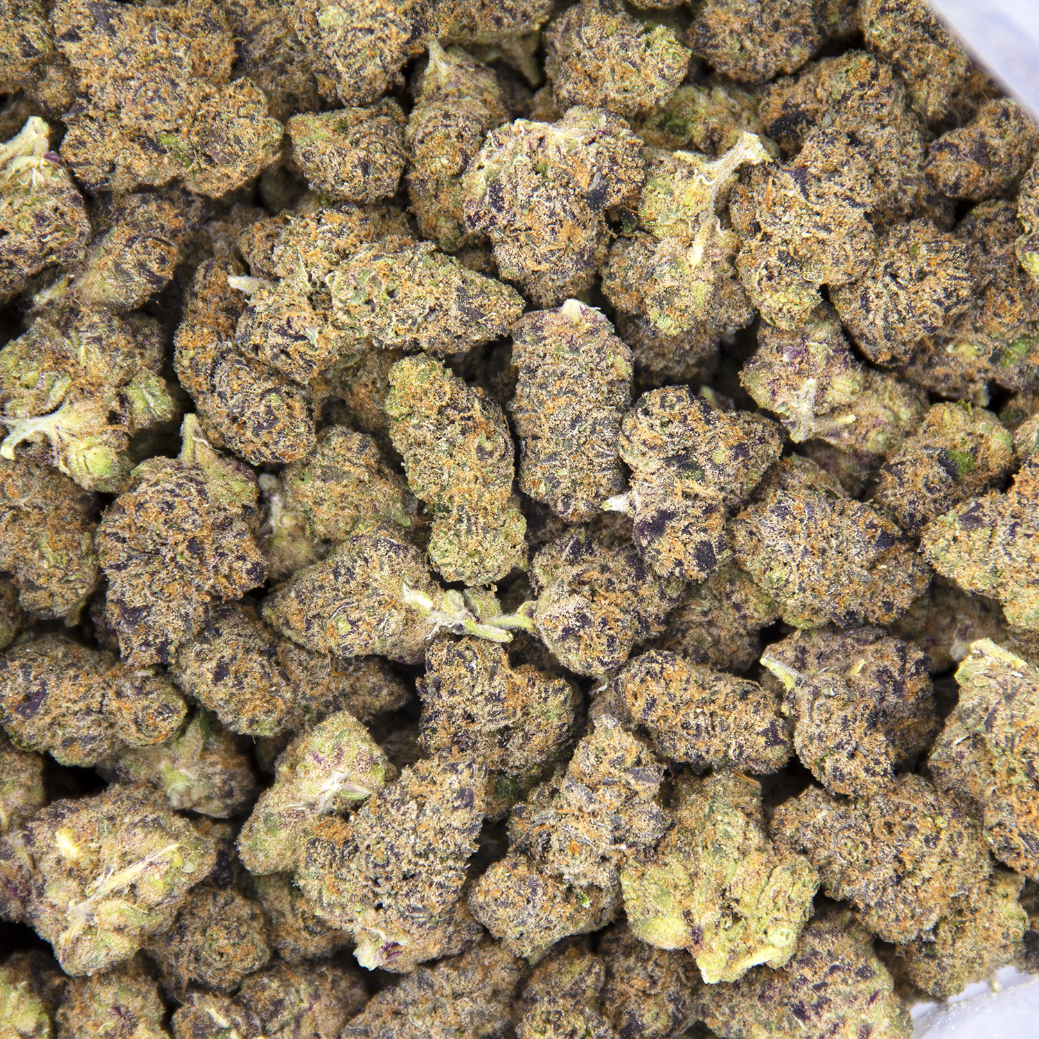 Gummiez (smalls) AA+ - Image 3