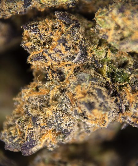 Alternative view of Gummiez (smalls) AA+