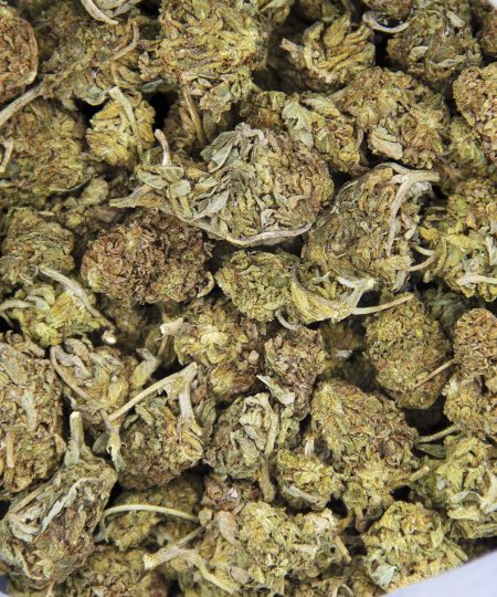 Alternative view of Lemon Kush AA-