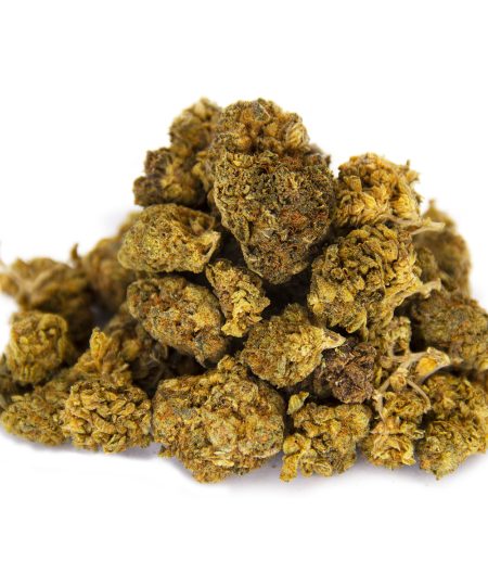 Old Indica A