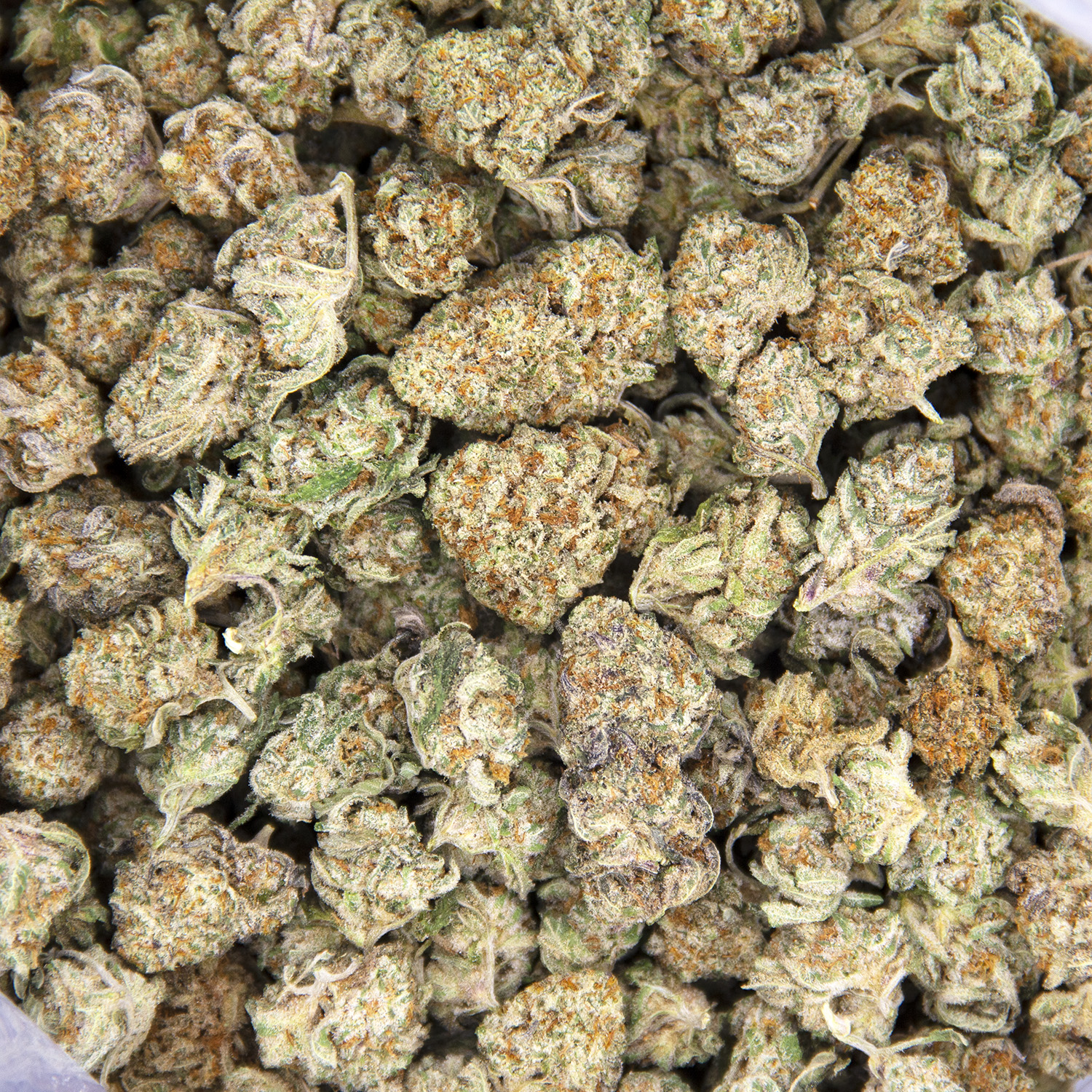Pineapple Express (smalls) AAA- - Image 2