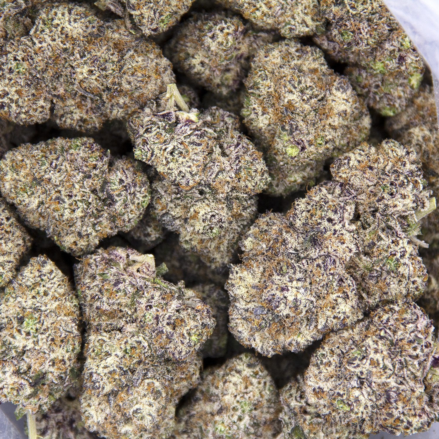 Pink Slurricane AAAA - Image 3