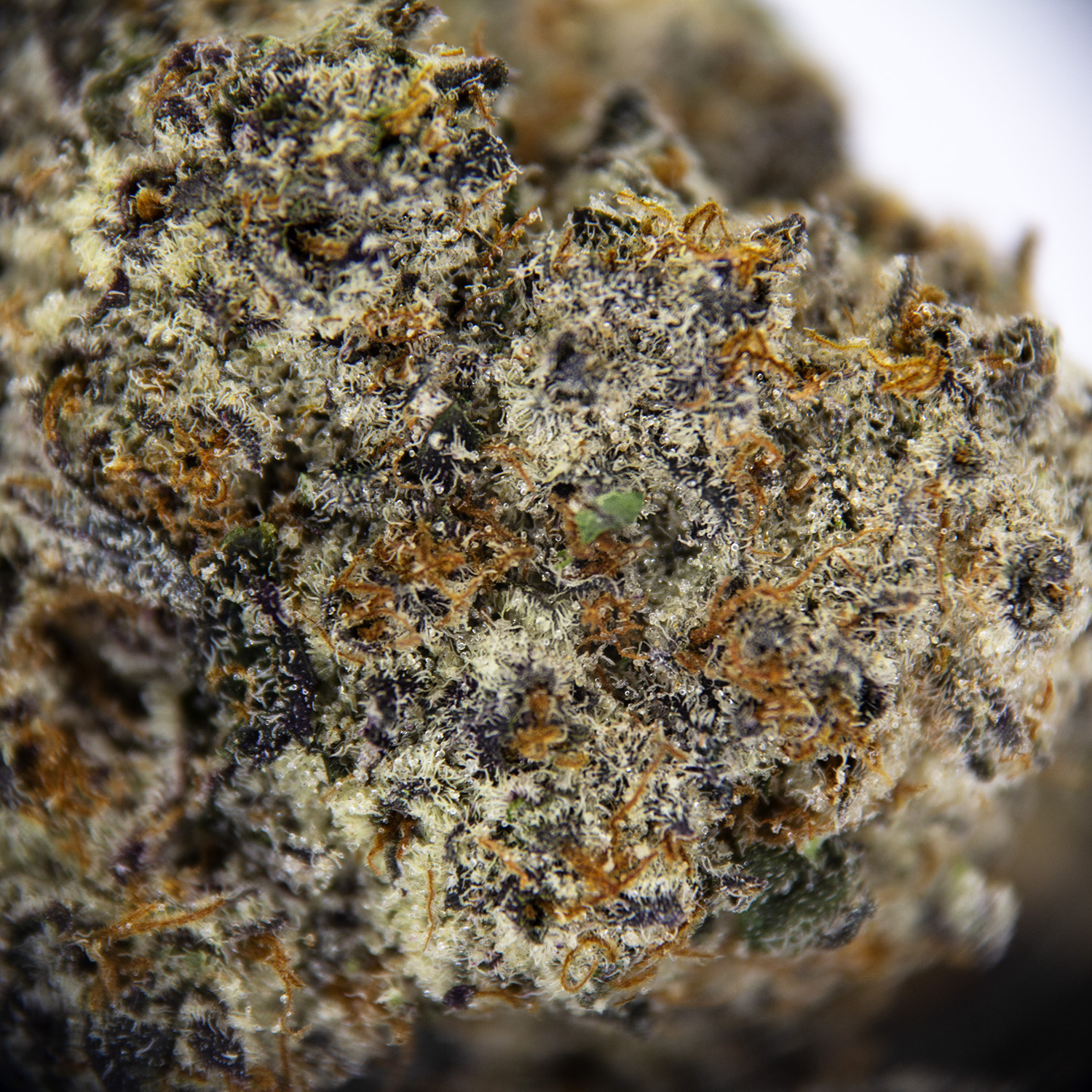 Pink Slurricane AAAA - Image 2