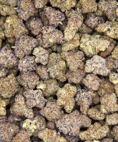 Alternative view of Purple Milk (smalls) AAAA