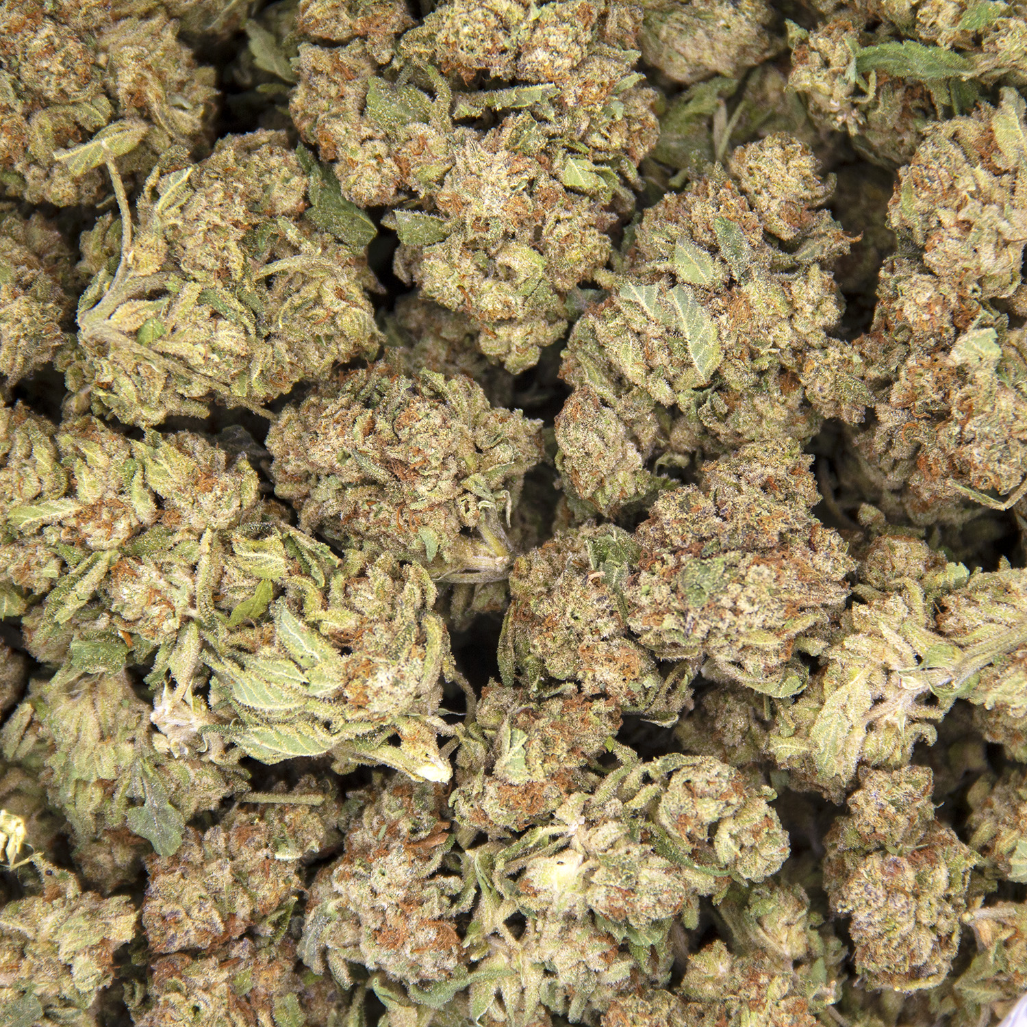 Trainwreck AA - Image 3