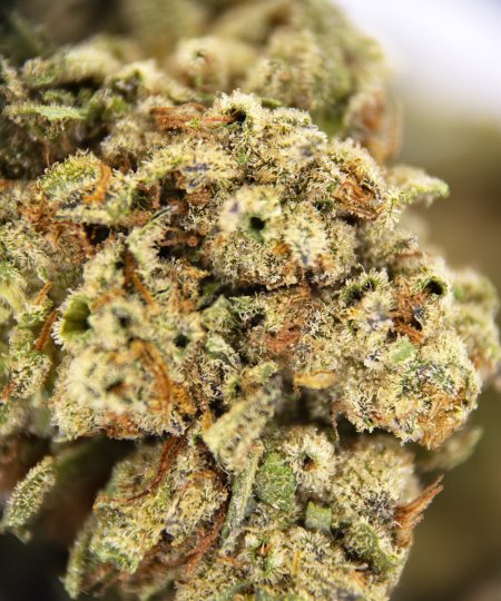 Alternative view of Trainwreck AA