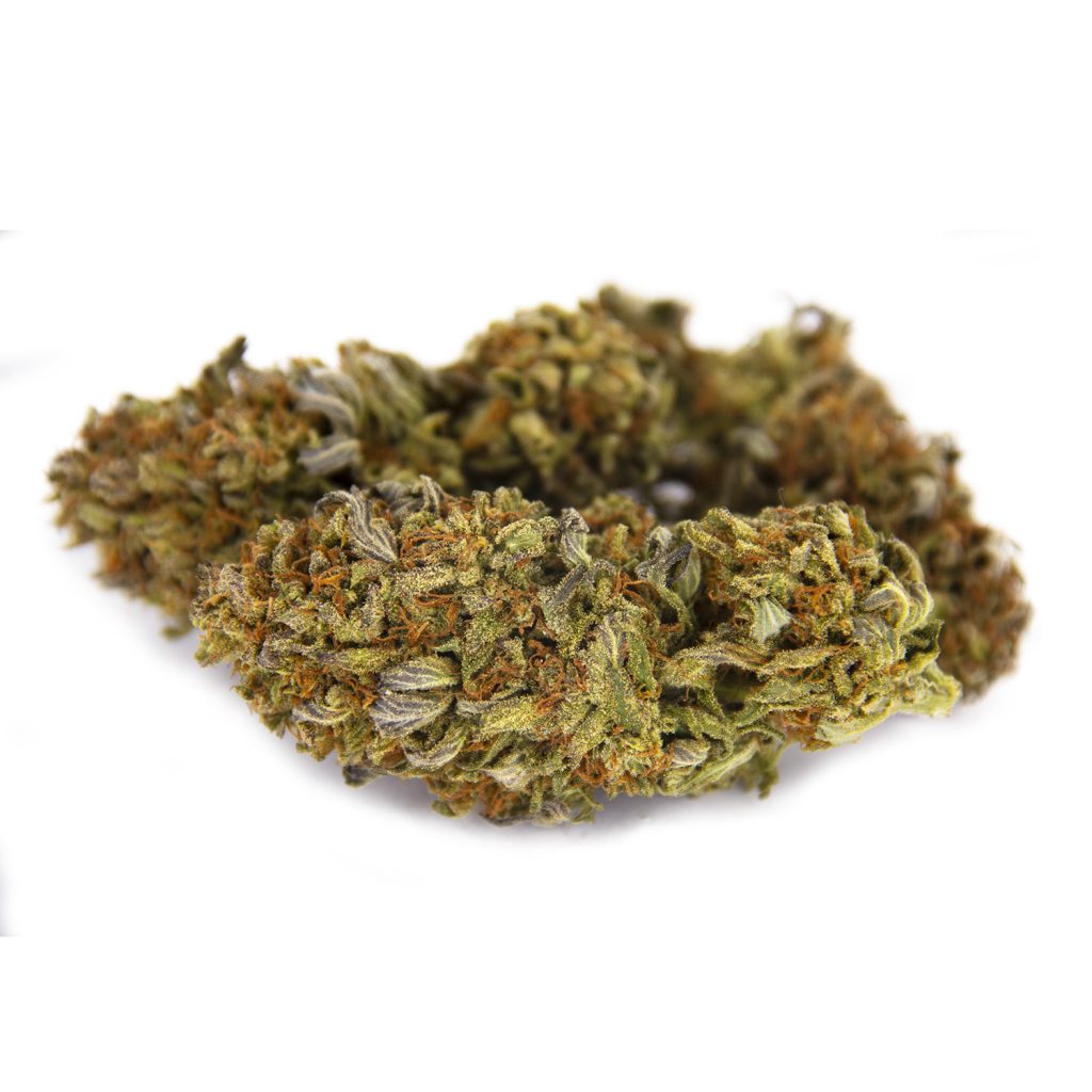 Rocket Chronic