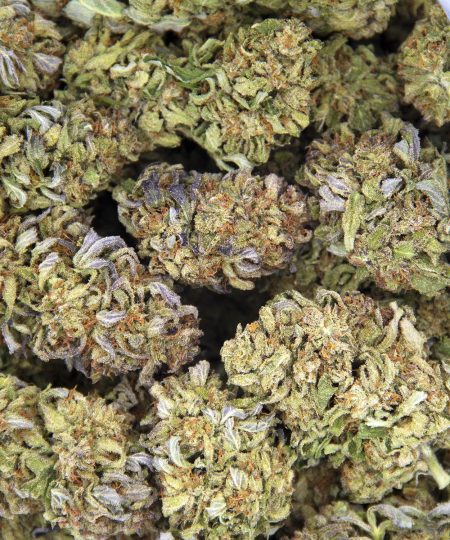 Alternative view of Apricot Haze AA