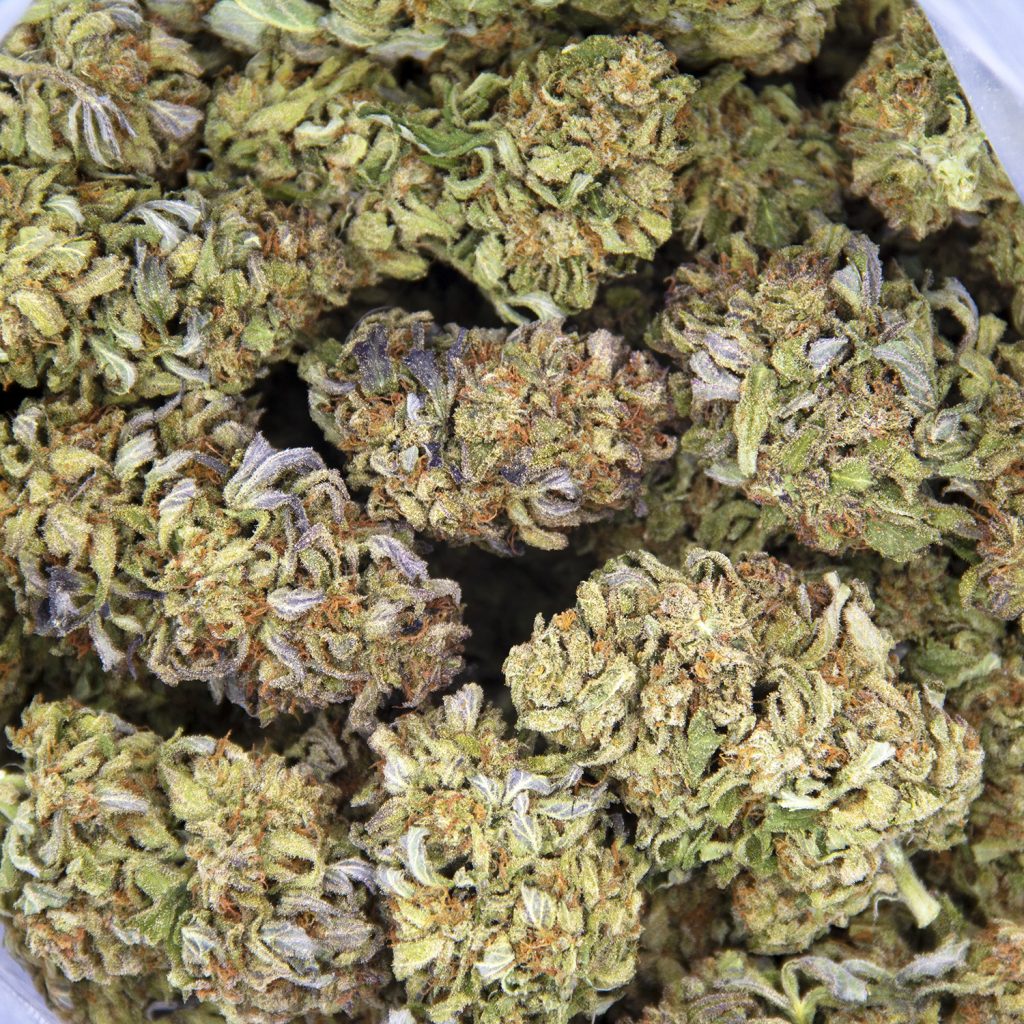 Rocket Chronic