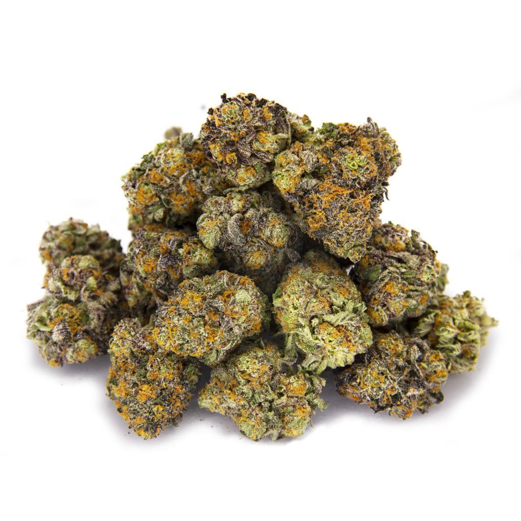 Rocket Chronic