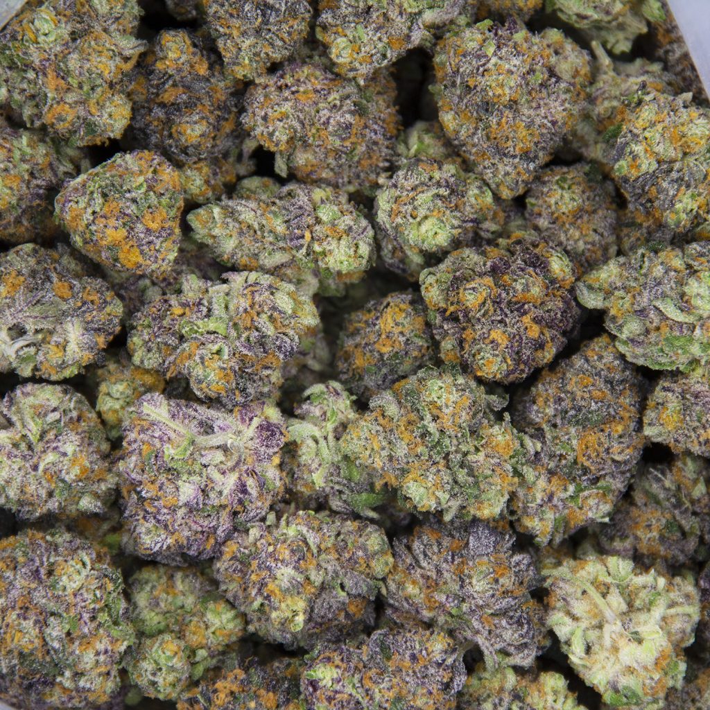 Rocket Chronic