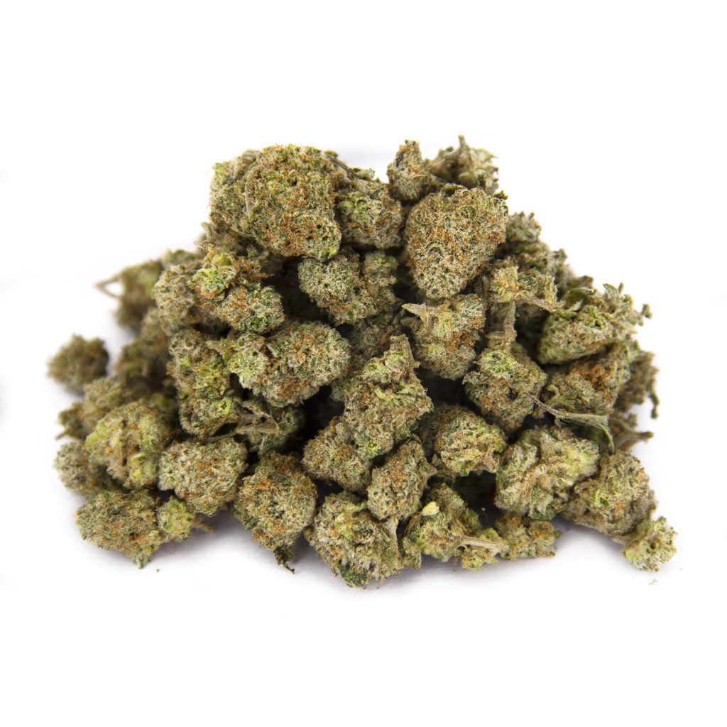 Rocket Chronic