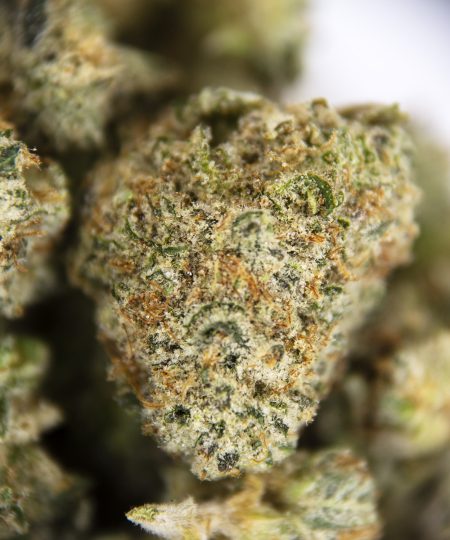 Alternative view of Blue Dream (popcorn) AAA-