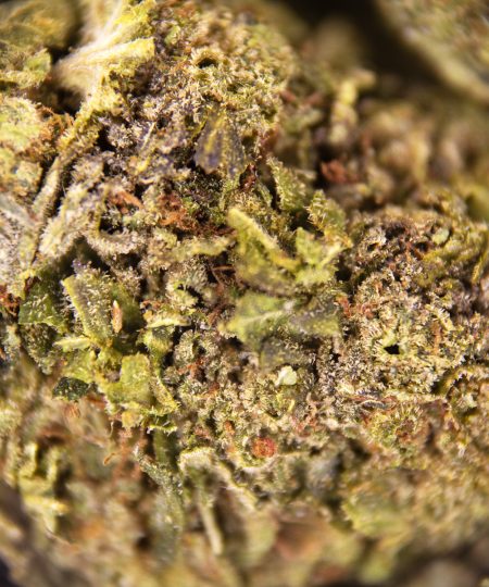 Alternative view of Bubba Kush AA